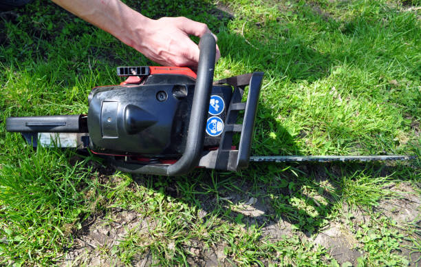 istock hands of a man holding a chainsaw 961799506