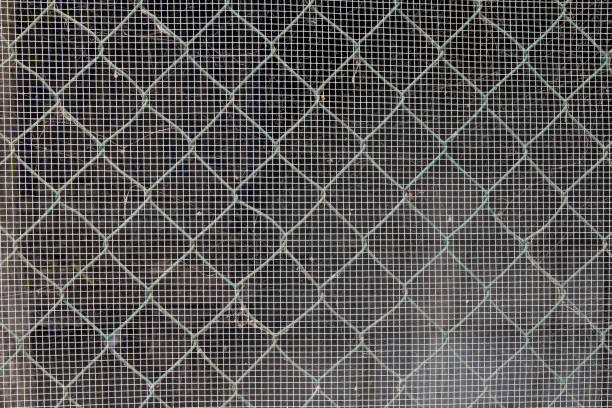 istock Texture of iron net in a chicken coop. 961799856