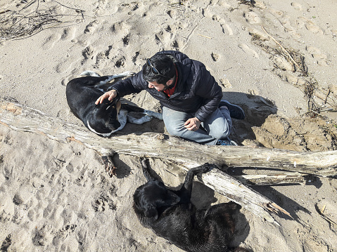 Young man with two dogs on the beach