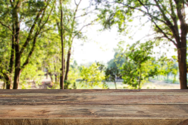 istock old wood table green tree in garden blur background 961808296