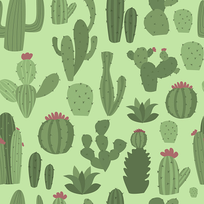 Cacti seamless pattern with green cactus vector illustration. Nature garden print fabric succulen background. Cute plant flower decorative botanical floral wallpaper.