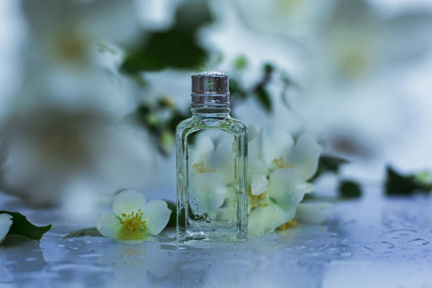 istock bottle of perfume and jasmine flowers 961823452