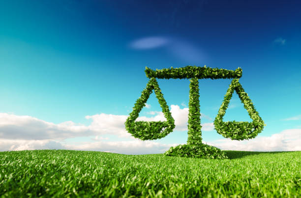 Eco friendly law, politics and eco balance concept. 3d rendering of scale icon on fresh spring meadow with blue sky in background. Eco friendly law, politics and eco balance concept. 3d rendering of scale icon on fresh spring meadow with blue sky in background. environnement stock pictures, royalty-free photos & images