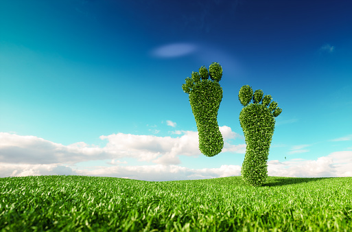 Sustainable eco friendly lifestile concept. 3d rendering of a footprint icon on fresh spring meadow with blue sky in background.