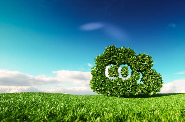 carbon dioxide emissions control concept. 3d rendering of co2 cloud on fresh spring meadow with blue sky in background. - dióxido de carbono imagens e fotografias de stock