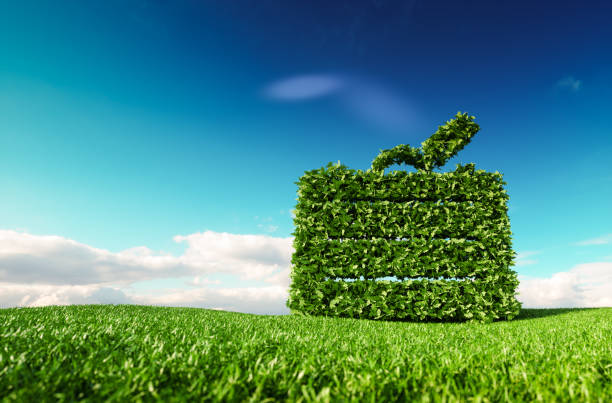 istock Eco friendly tourism concept. 3d rendering of a suitcase icon on fresh spring meadow with blue sky in background. 961826986
