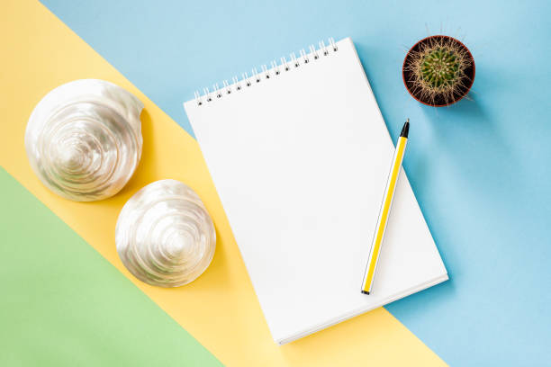 istock Summer vacations flatlay concept with notepad, cactus, seashells on pastel blue-green-yellow background. 961829096