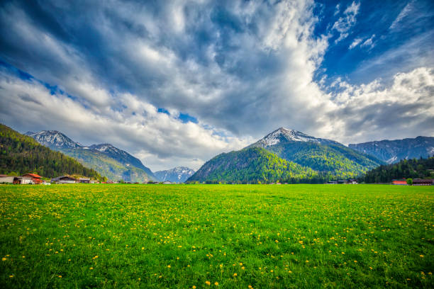 istock Idyllic landscape in the Alps (HDRi) 961829156