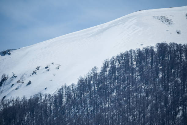 istock Abruzzo and Molise National Park 961830456