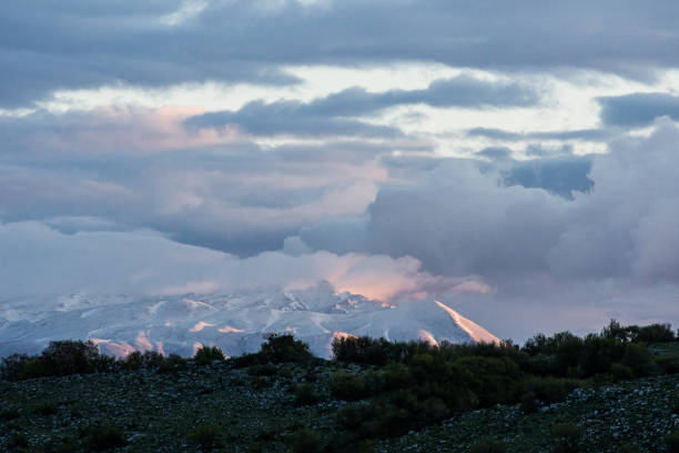 istock Abruzzo and Molise National Park 961831210