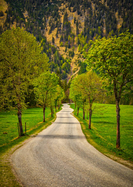 mountain road in the valley in Tyrol, Austria