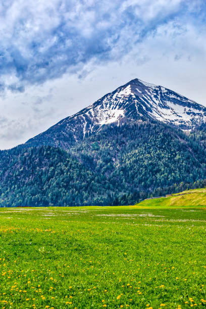 istock panoramic view of the Alp mountains (HDRi) 961836924