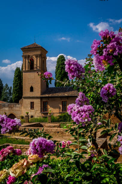 Mosque and flowers in the Alhambra of Granada stock photo