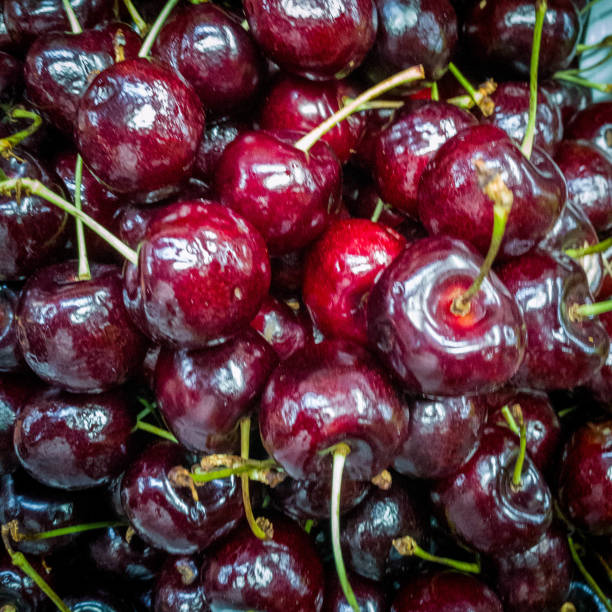 ripe berries cherries