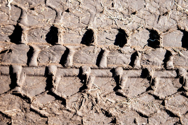 istock Picturesque dirt road. car track. Tread pattern from car tires 961841696