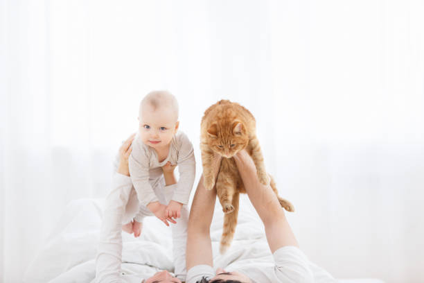 istock Happy family at home 961849484