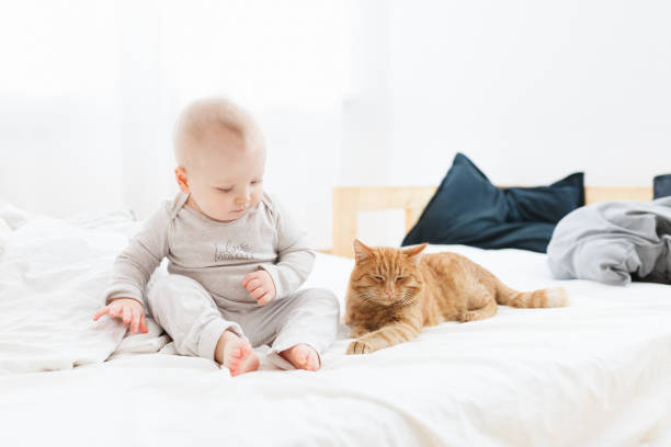 istock Happy family at home 961850972