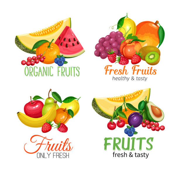 Fruits banners. vector art illustration