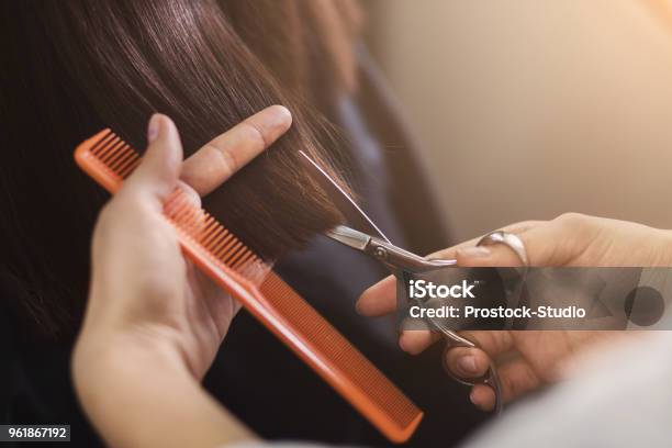 Cropped Shot Of Female Client Receiving A Haircut Stock Photo - Download Image Now - Hairdresser, Hair Salon, Cutting Hair