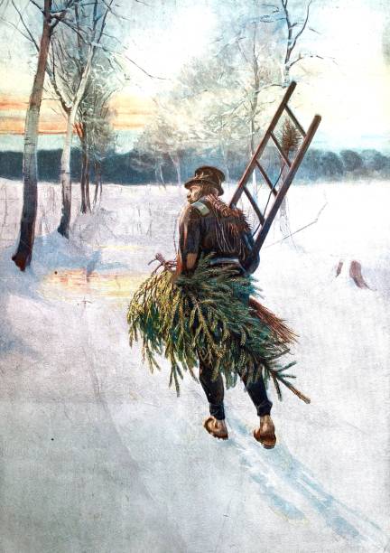 ilustraciones, imágenes clip art, dibujos animados e iconos de stock de hombre con una escalera lleva a casa el árbol de navidad - 1898