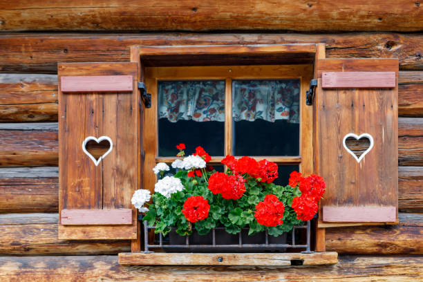 fenêtre en bois bavaroise ou autrichienne typique, avec des fleurs de géranium rouge sur maison en autriche ou en allemagne - tirol north tirol hut austria photos et images de collection