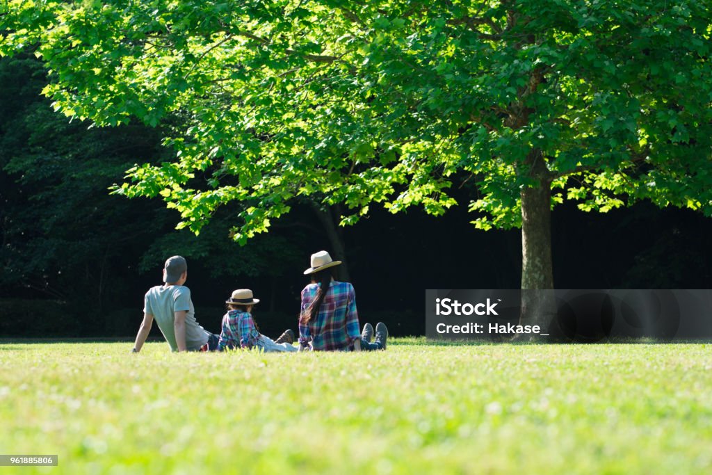 Father and mother and daughter relax on the lawn Family Stock Photo