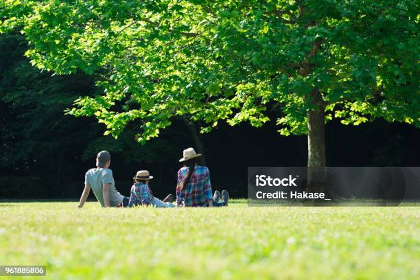 Foto de Pai Mãe E Filha Relaxar No Gramado e mais fotos de stock de Família - Família, Japão, Natureza