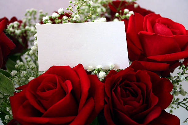 Rose Note Card Rose Note Card