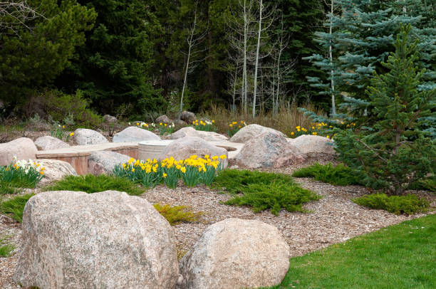 Rock Garden and Flowers in a Park