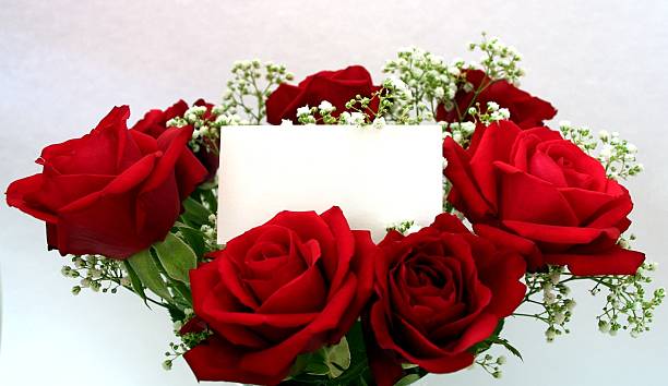 赤いバラと空白のメッセージタグ - interflora ストックフォトと画像