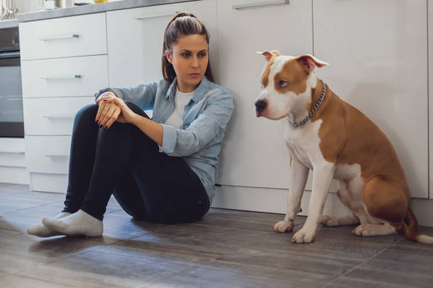 istock Woman sitting on the kitchen floor mad on her dog 961892884