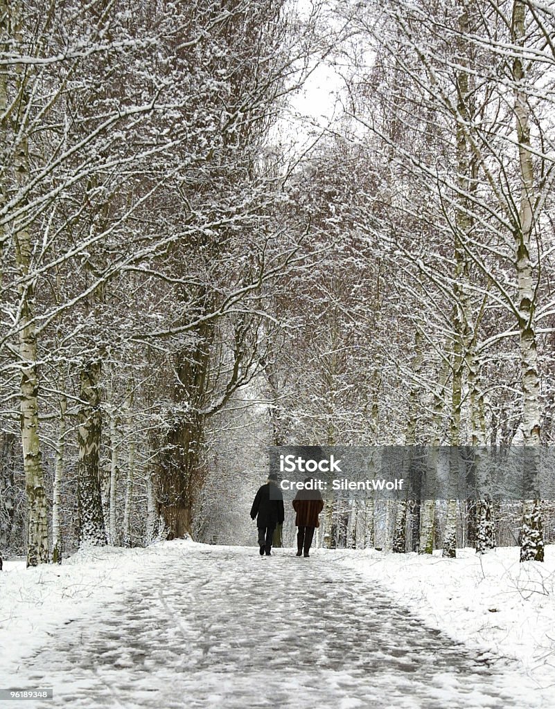 Зимний пейзаж с Старший Пара - Стоковые фото Активный образ жизни роялти-фри