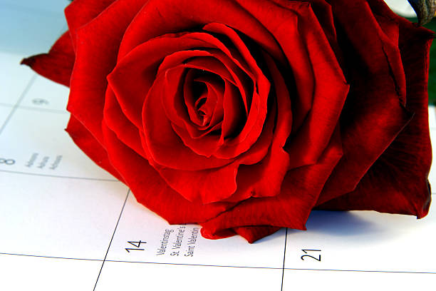 rosas rojas para st. el día de san valentín - interflora fotografías e imágenes de stock