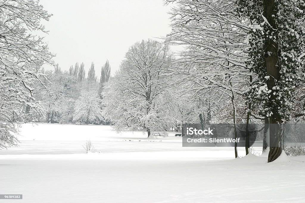 Paisagem de inverno - Foto de stock de 12 Horas royalty-free