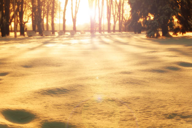 sunset in the winter in the park, filter applied