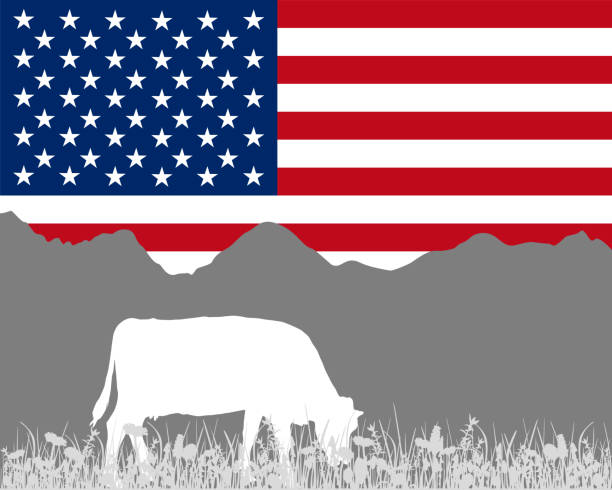 istock Cow alp and flag of USA 961895874