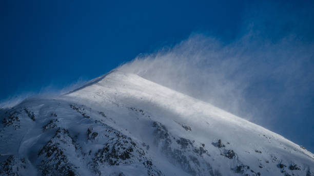 istock Abruzzo and Molise National Park 7 961901806