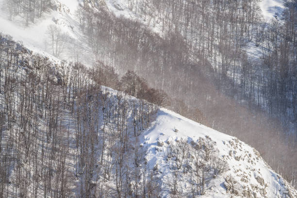 istock Abruzzo and Molise National Park 7 961901890