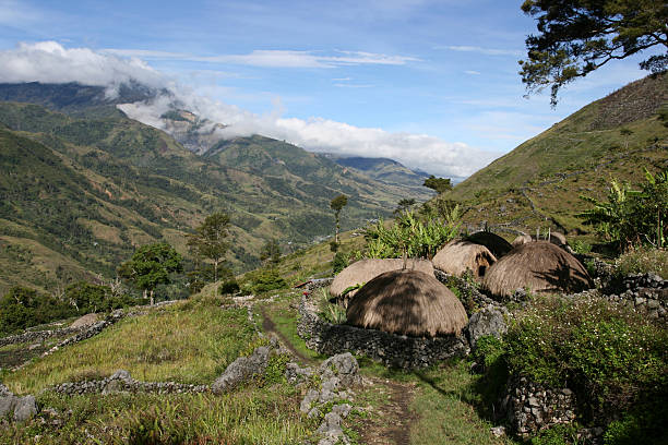 plemię autochtoniczna rozrachunku powyżej baliem valley - papua new guinea zdjęcia i obrazy z banku zdjęć