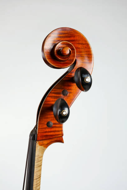vista laterale della vecchia testa di contrabbasso isolata su sfondo bianco - violin equipment classical instrument light and shadow foto e immagini stock