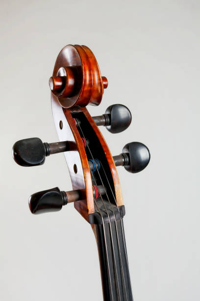 vecchia testa di contrabbasso con corde isolate su sfondo bianco - violin equipment classical instrument light and shadow foto e immagini stock