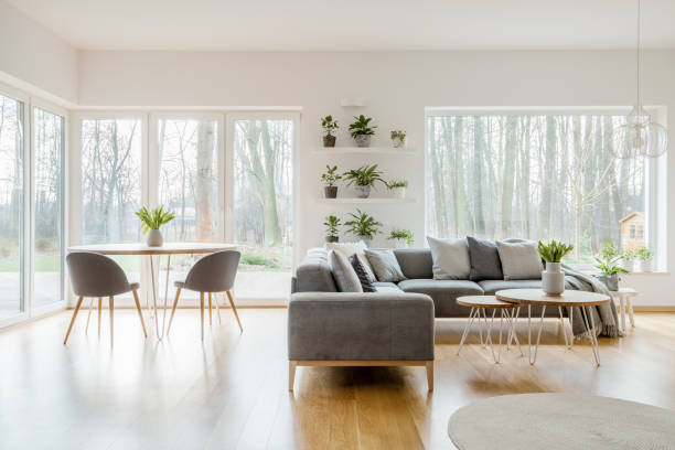 istock Plants in natural apartment interior 961913004