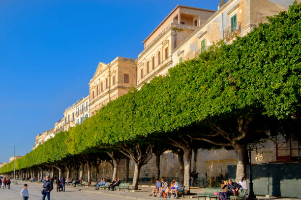 120+ Aretusa Fotografías de stock, fotos e imágenes libres de derechos