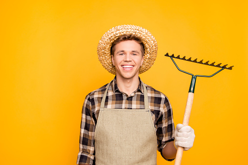 Cleanup people person rustic lifestyle concept. Close up portrait of glad confident excited cheerful rejoicing gardener using hand tool for getting rid of leaves isolated  on background copy-space
