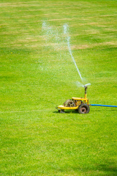 istock Watering the grass on a sunny day 961916118