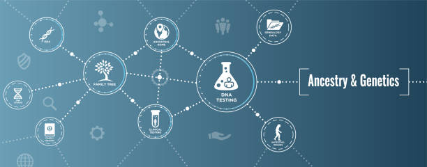 ilustrações, clipart, desenhos animados e ícones de ascendência ou genealogia icon set web banner w álbum árvore genealógica, recorde da família, etc. - beginnings origins creation molecule