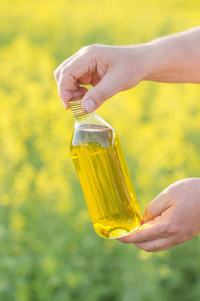 istock rapeseed oil in bottle in hand on background rape field 961924944