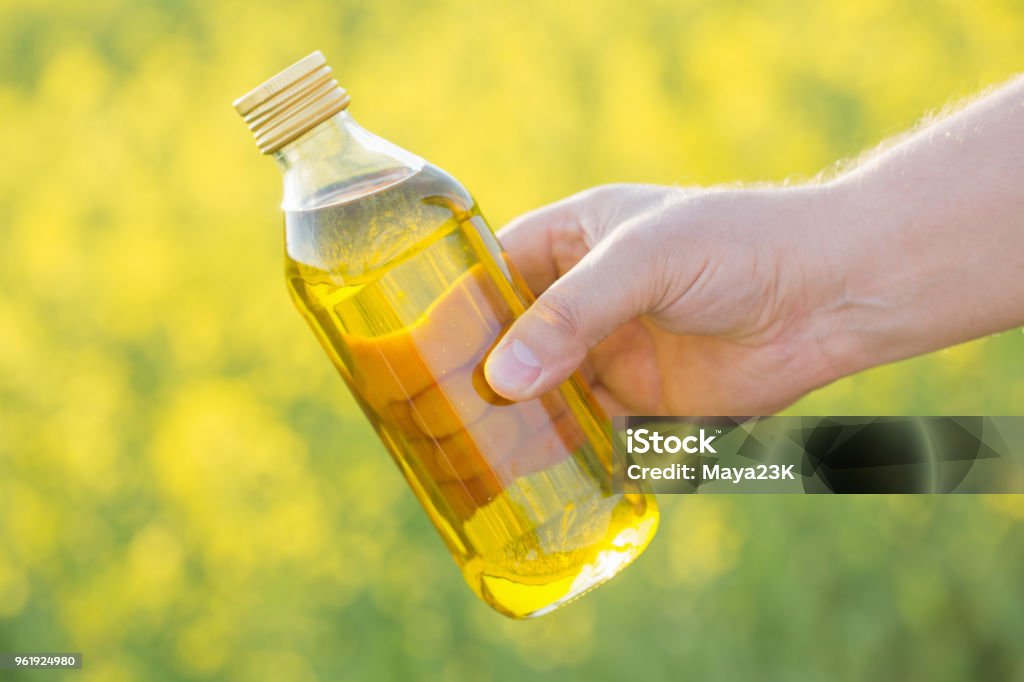 rapeseed oil in bottle in hand on background rape field Adult Stock Photo