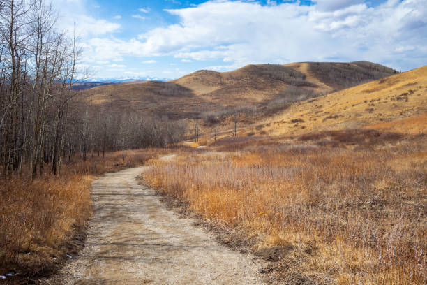 istock Trail though the beautiful Glenbow Ranch Provincial Park in Alberta 961928716