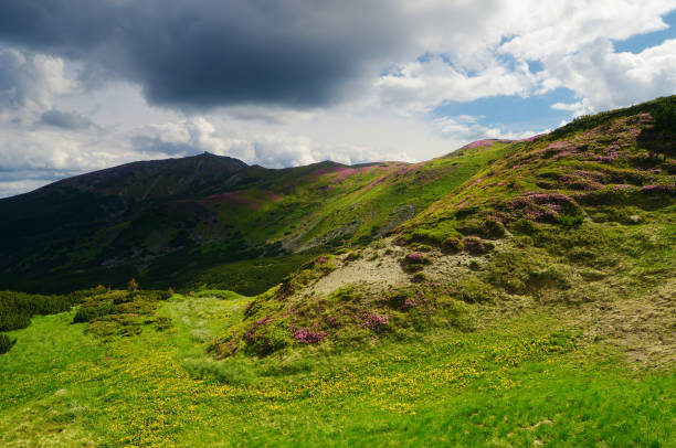 istock Sunny day in the mountains 961928874